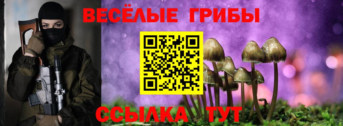 Галлюциногенные грибы Psilocybine cubensis Бор